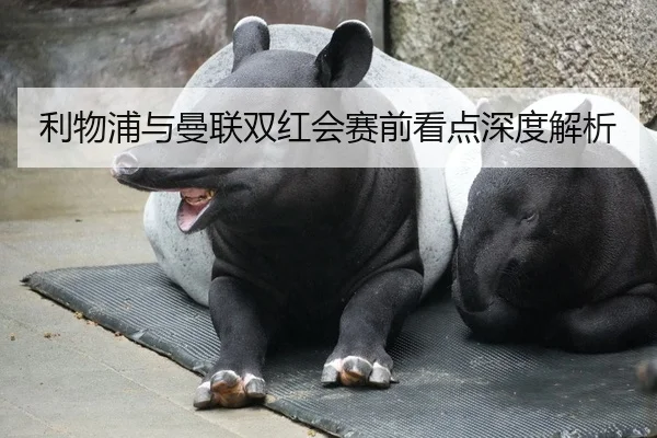 利物浦与曼联双红会赛前看点深度解析